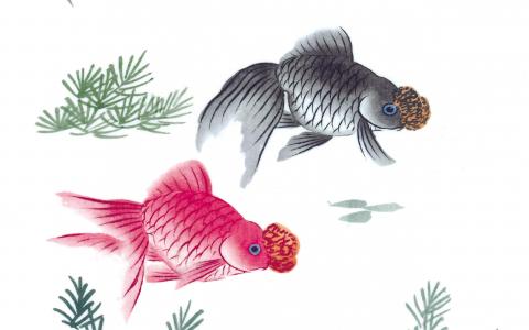 金鱼水墨插画图片壁纸第0张