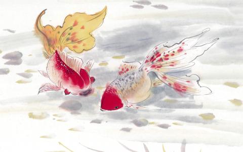 金鱼水墨插画图片壁纸第2张