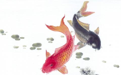 金鱼水墨插画图片壁纸第3张