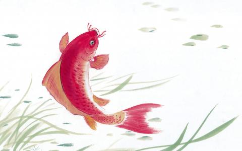 金鱼水墨插画图片壁纸第4张