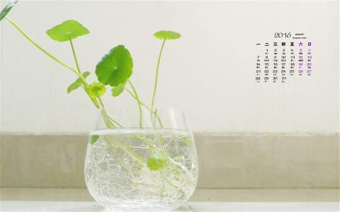2017年5月小清新唯美四叶草高清桌面日历壁纸第0张