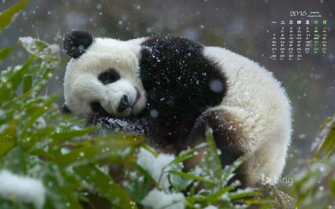 情侣CP头像图片：情侣猫咪可爱头像图片第0张