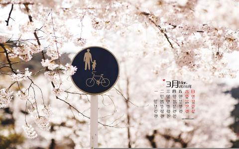 樱花图片图片 _ 第(1)张