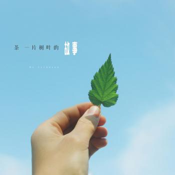 图片 _ 第(4)张