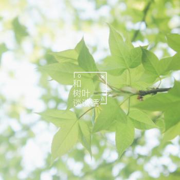 图片 _ 第(5)张
