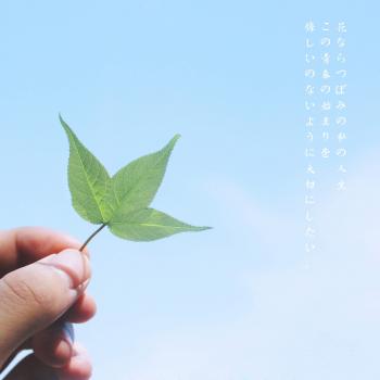 图片 _ 第(8)张