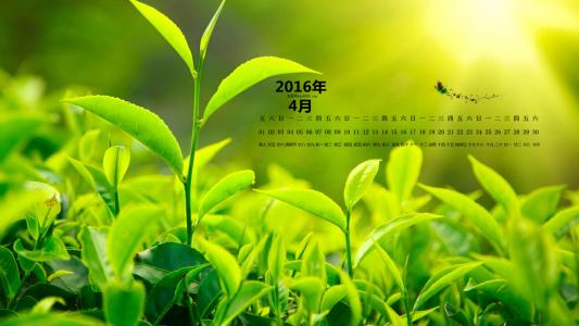 图片 _ 第(1)张