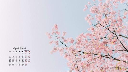 樱花图片图片 _ 第(1)张