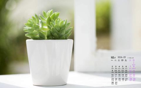 图片 _ 第(1)张