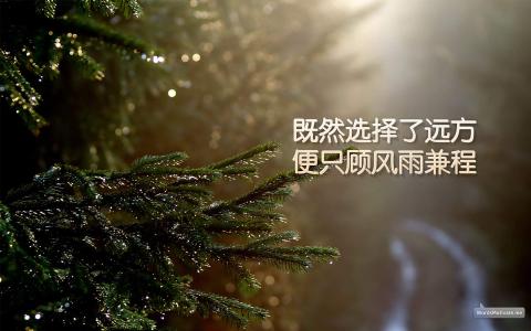 图片 _ 第(3)张
