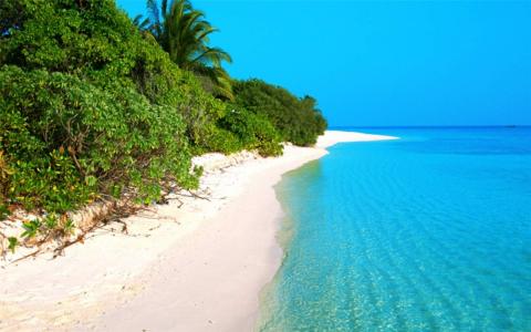 夏日唯美海边风景高清手机滚屏壁纸下载第4张