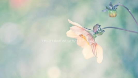 小清新励志文字壁纸图片第0张