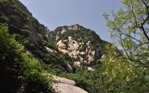 图片 _ 第(1)张