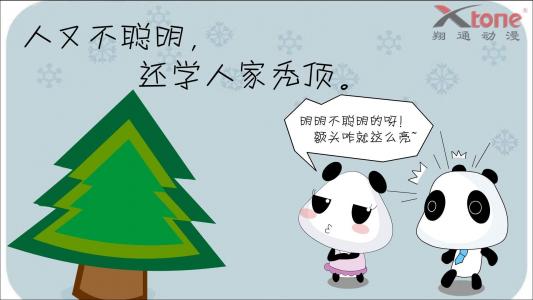 猫睡觉姿势搞笑图片：睡觉也要成双睡第4张