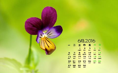 图片 _ 第(1)张