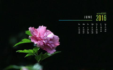 电脑壁纸大全图片 _ 第(1)张
