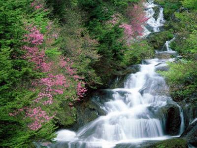 大山深处小溪瀑布唯美风景图片电脑桌面壁纸下载第4张