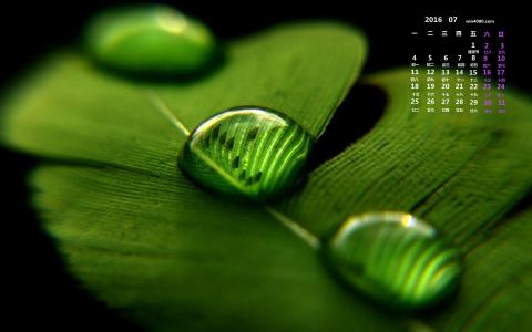 图片 _ 第(5)张