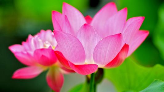 图片 _ 第(1)张