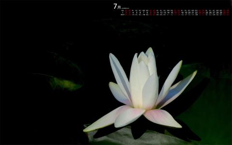 图片 _ 第(2)张