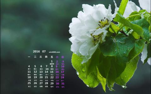 图片 _ 第(5)张