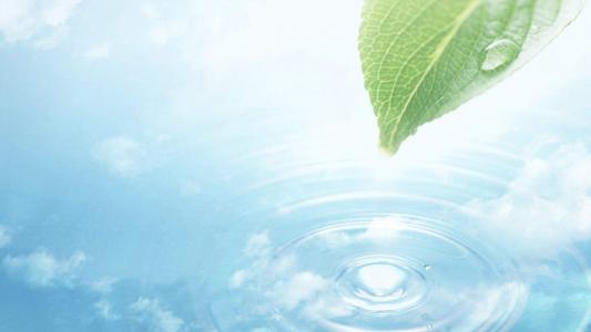 高清雨水水珠2022年6月份日历桌面壁纸护眼绿色水滴第5张