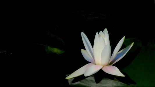 图片 _ 第(1)张 图片 _ 第(1)张