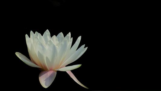 图片 _ 第(4)张 图片 _ 第(4)张