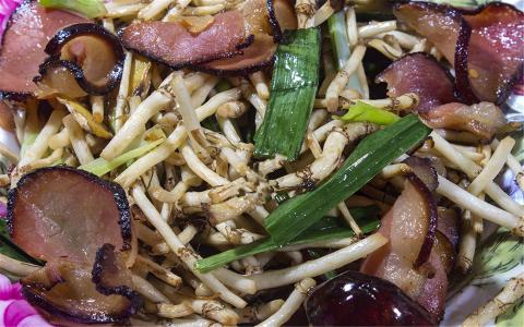 新西兰小龙虾图片新西兰美食图片第5张