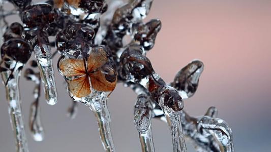 高清雨水水珠2022年6月份日历桌面壁纸护眼绿色水滴第5张