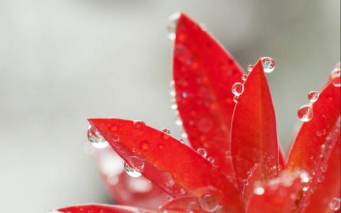 水滴图片 _ 第(8)张