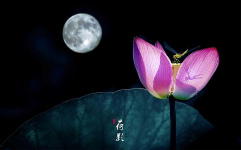 意境图第1张
