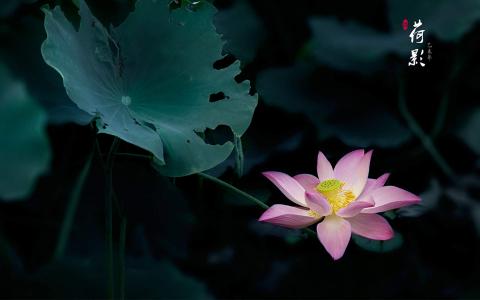 意境图第2张