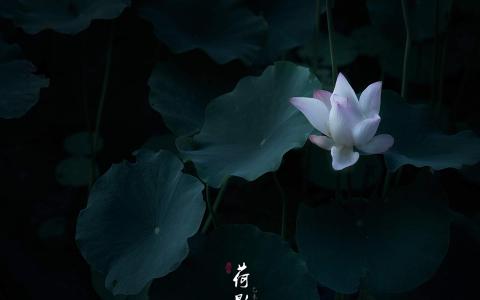 意境图第4张