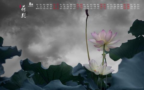 荷花图片 _ 第(2)张