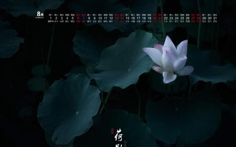 荷花图片 _ 第(5)张