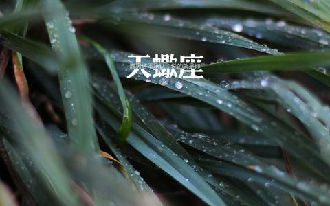 天蝎座第0张