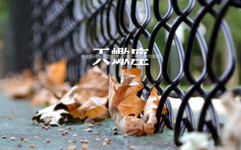 天蝎座第2张