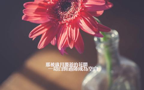 唯美心情语录高清手机壁纸图片第3张