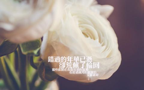 唯美心情语录高清手机壁纸图片第4张