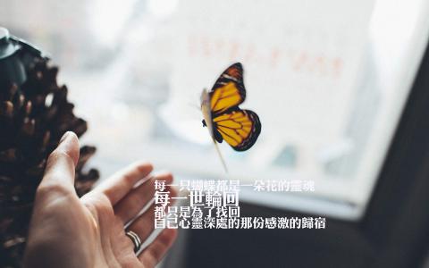 唯美心情语录高清手机壁纸图片第5张