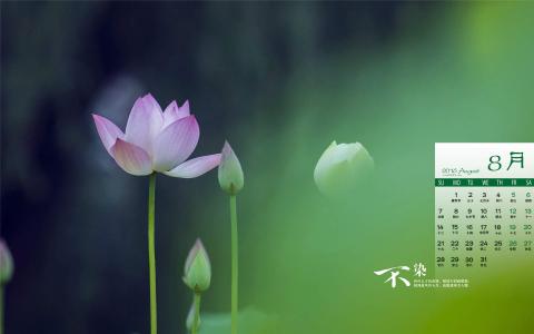 图片 _ 第(2)张 图片 _ 第(2)张