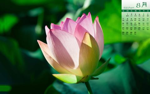 图片 _ 第(3)张 图片 _ 第(3)张