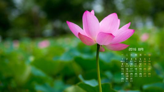 第2张