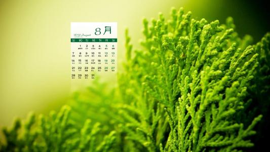 图片 _ 第(1)张