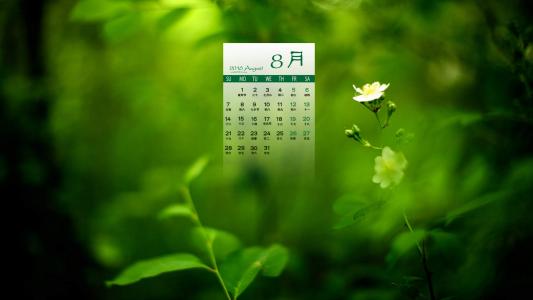 图片 _ 第(2)张