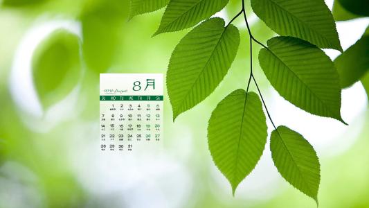 图片 _ 第(2)张
