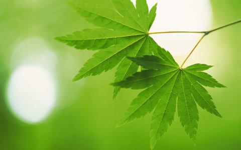 图片 _ 第(3)张