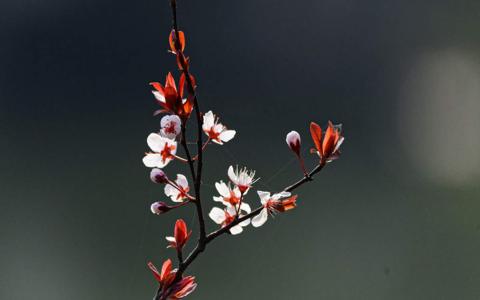 图片 _ 第(3)张