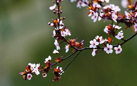 图片 _ 第(4)张
